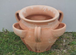 FRAGOLIERA CON MANICI